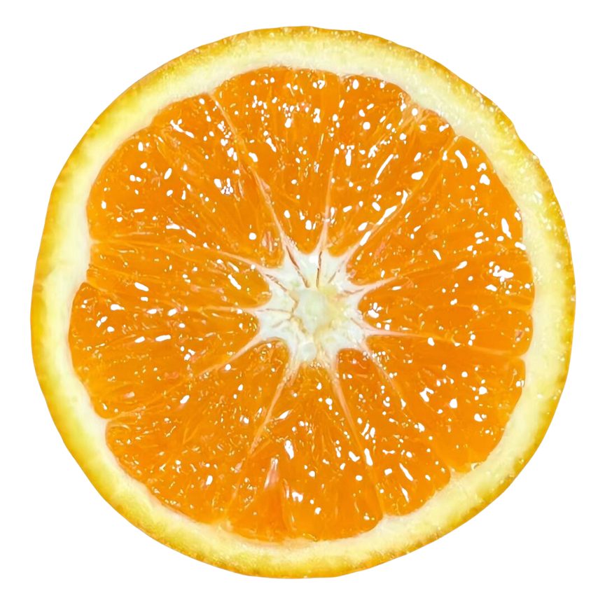 Cross-section