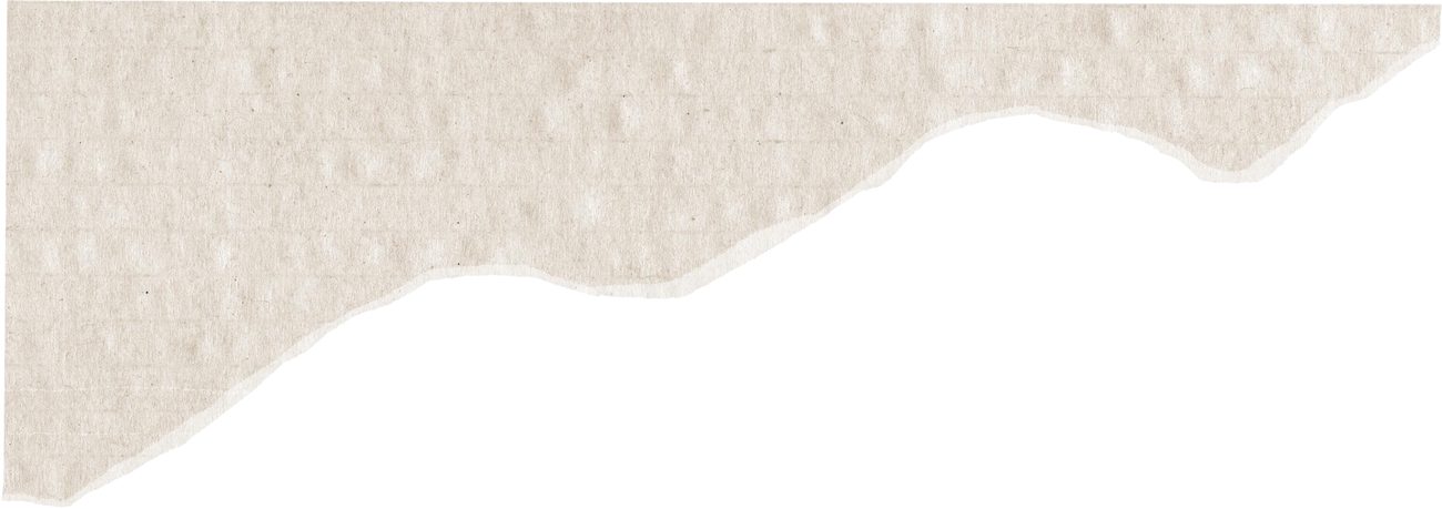 Orange-segment banner