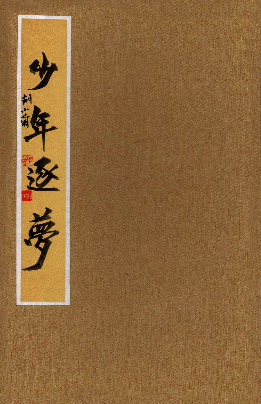 Clerical Script Album: Chasing Dreams in Youth