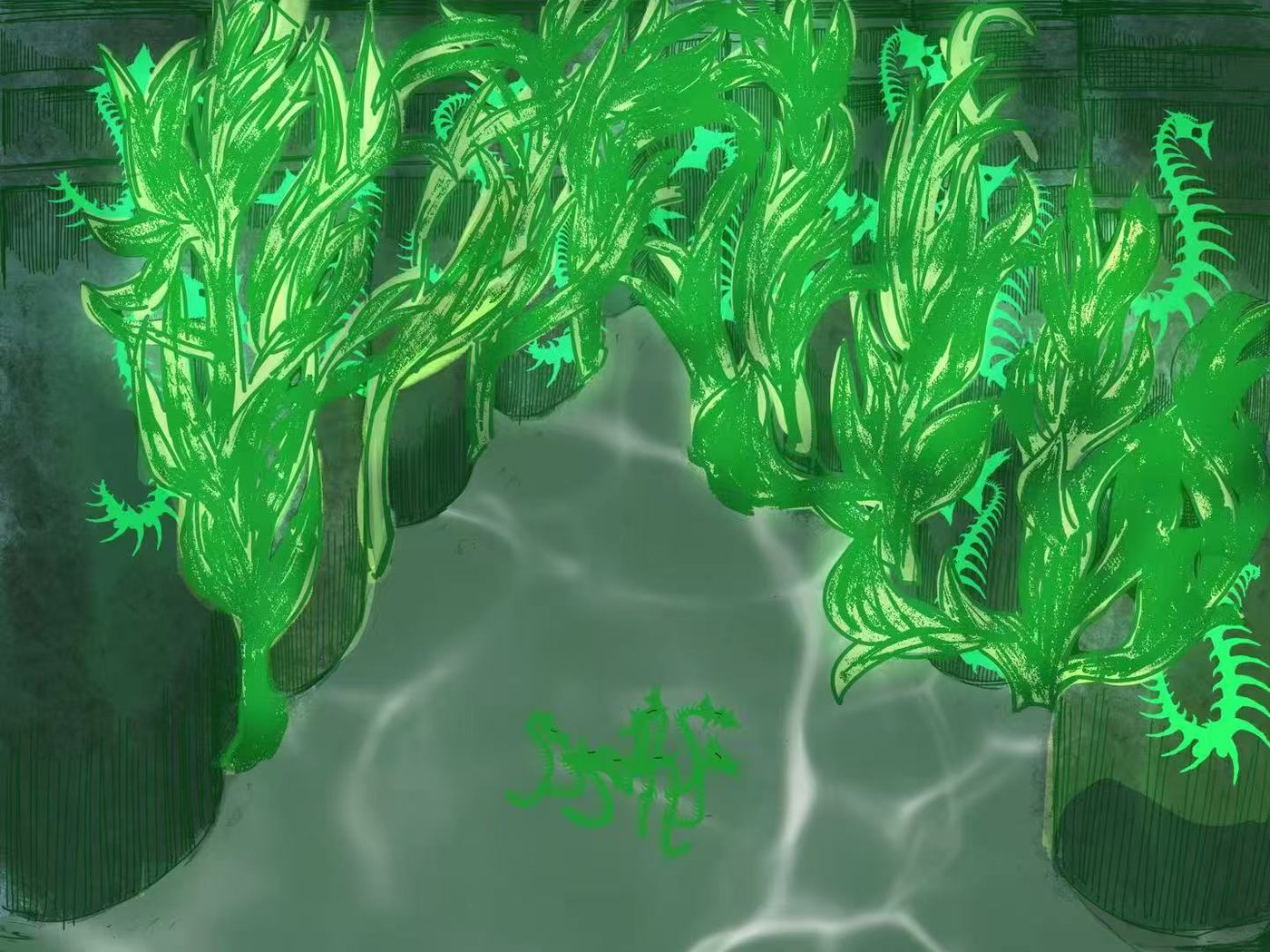 场景 01 · 无尽海草