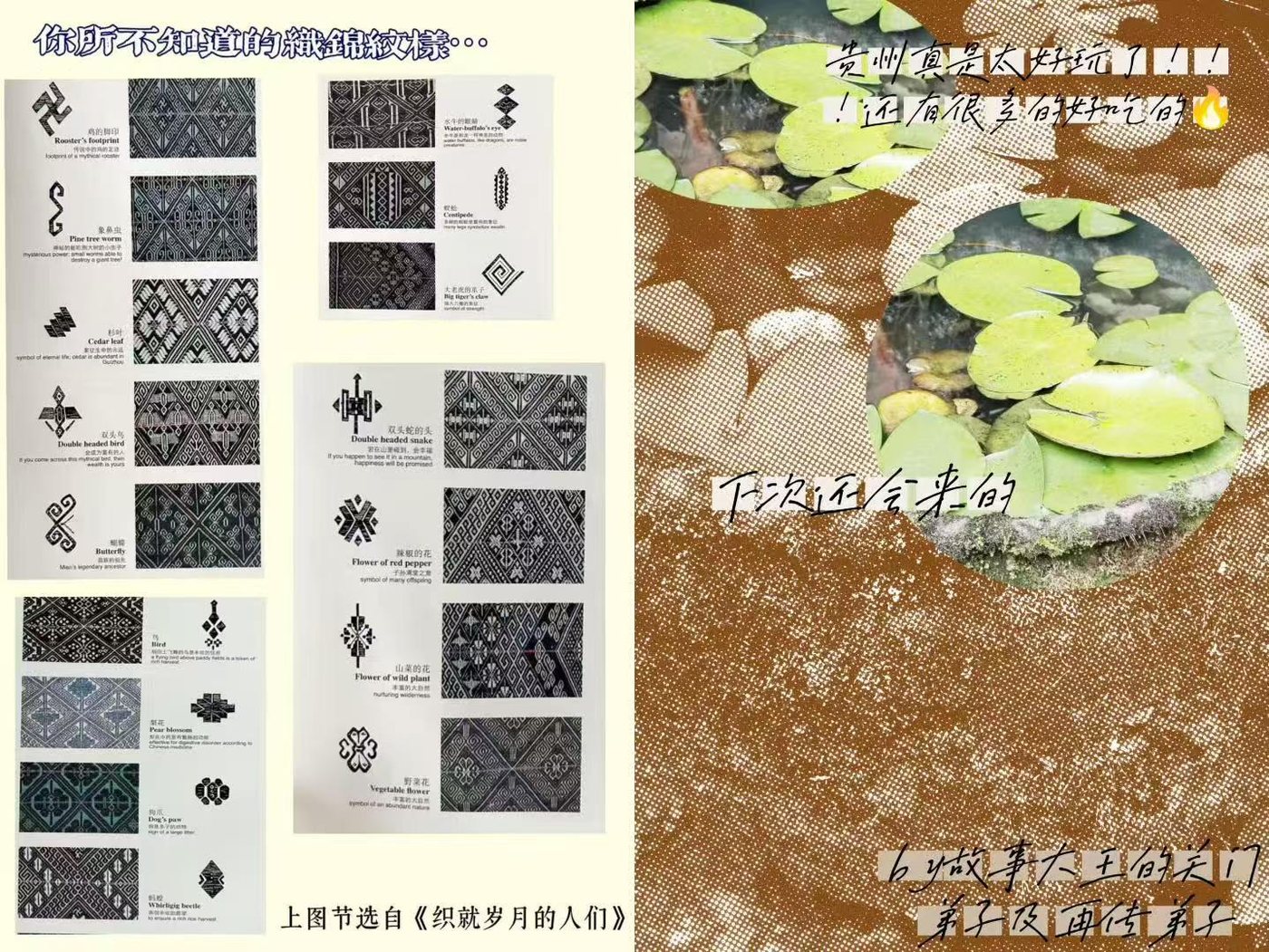 A Field Guide to Brocade Patterns