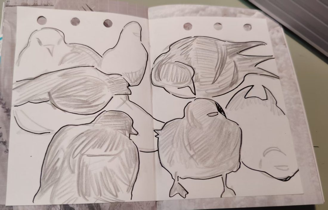 Birds and Rabbit