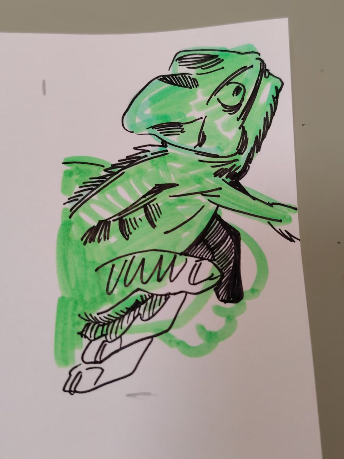 Chameleon